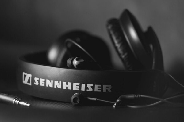 Черно-белое изображение наушников sennheiser