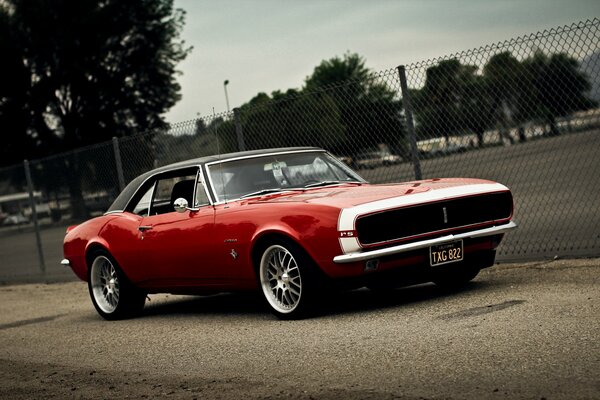 Red chevrolet camaro on the background of the grille