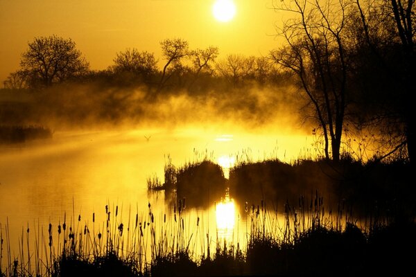 Lever de soleil lumineux sur l eau