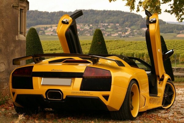 Yellow lamborghini on the background of nature