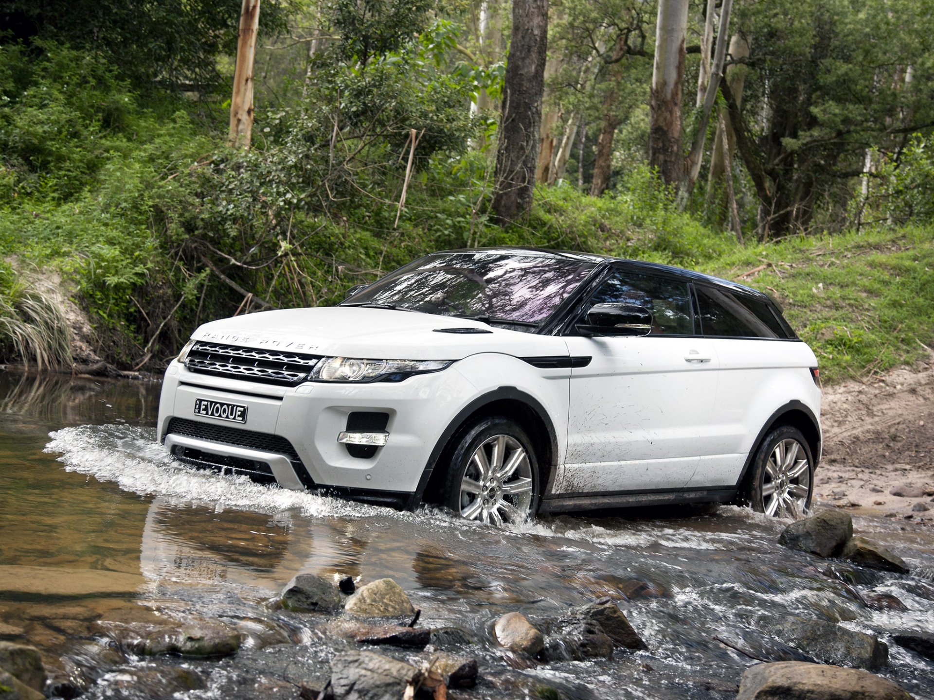 land rover range rover evoque coupé dinamico land rover renge rover ewok altoparlante crossover jeep bianco anteriore foresta alberi guado.acqua pietre