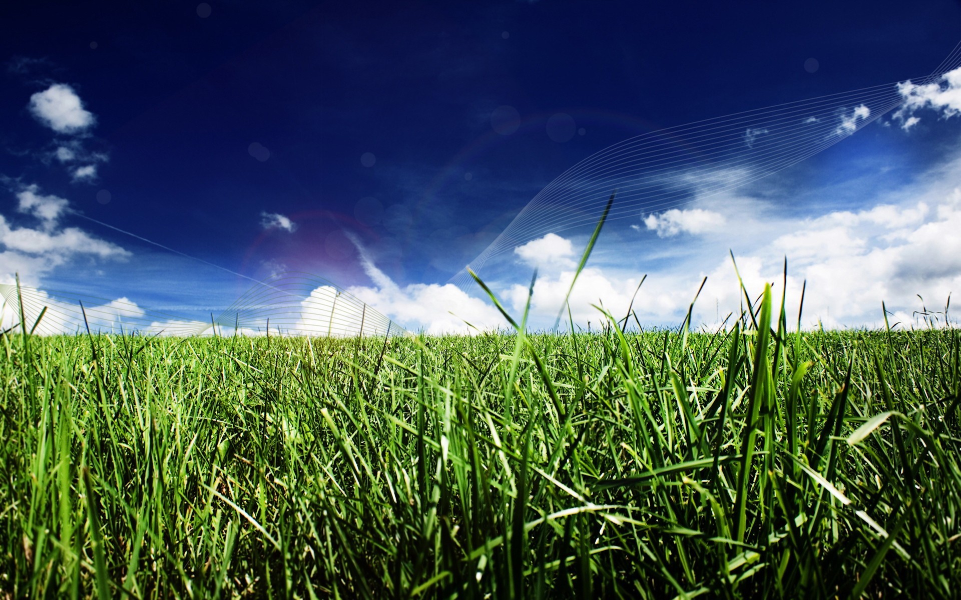 herbe lignes nuages