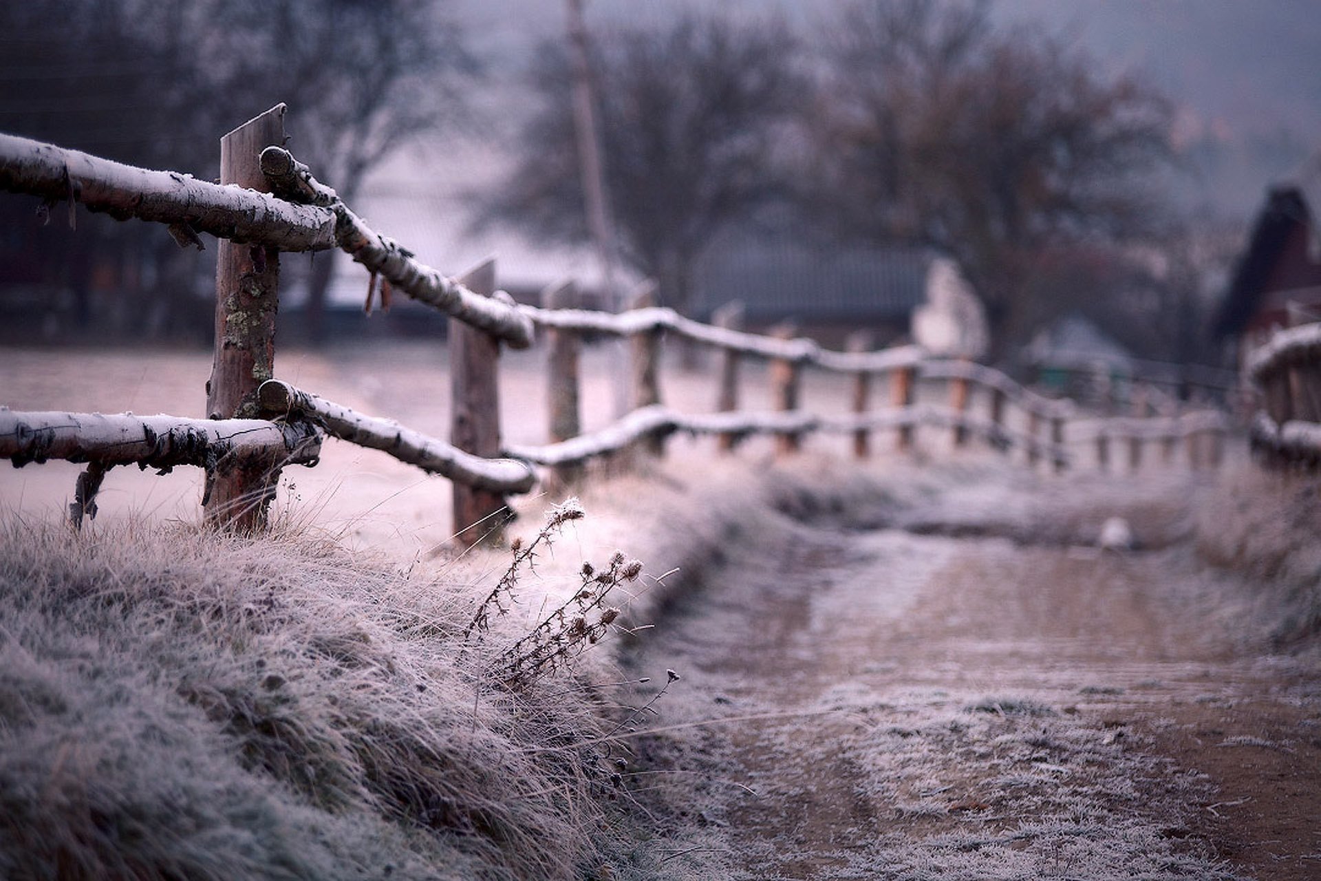 winter hecke fußweg zaun unschärfe frost