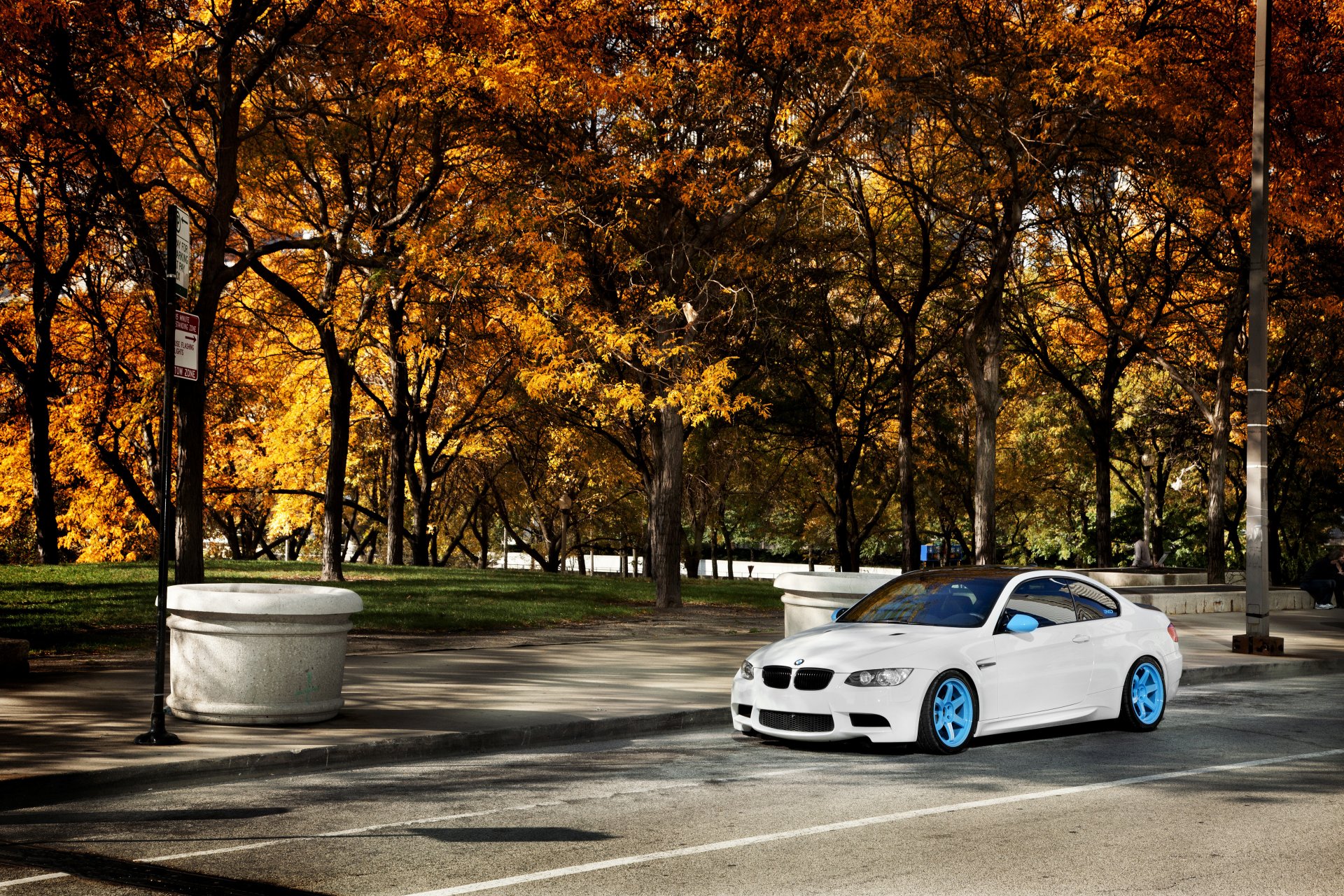 bmw m3 e92 weiß ind bmw herbst bäume