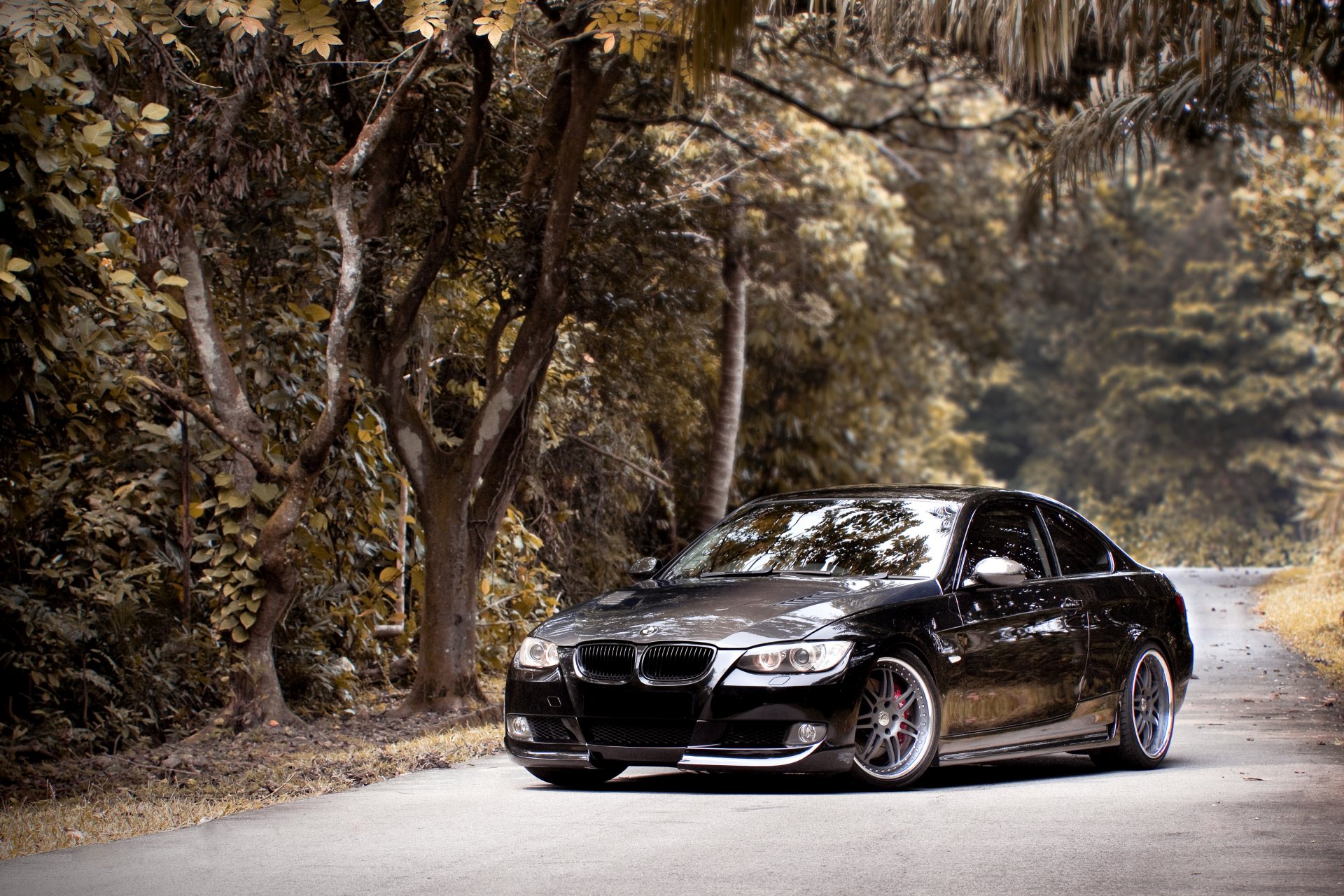 bmw 335i e92 black bmw forest road