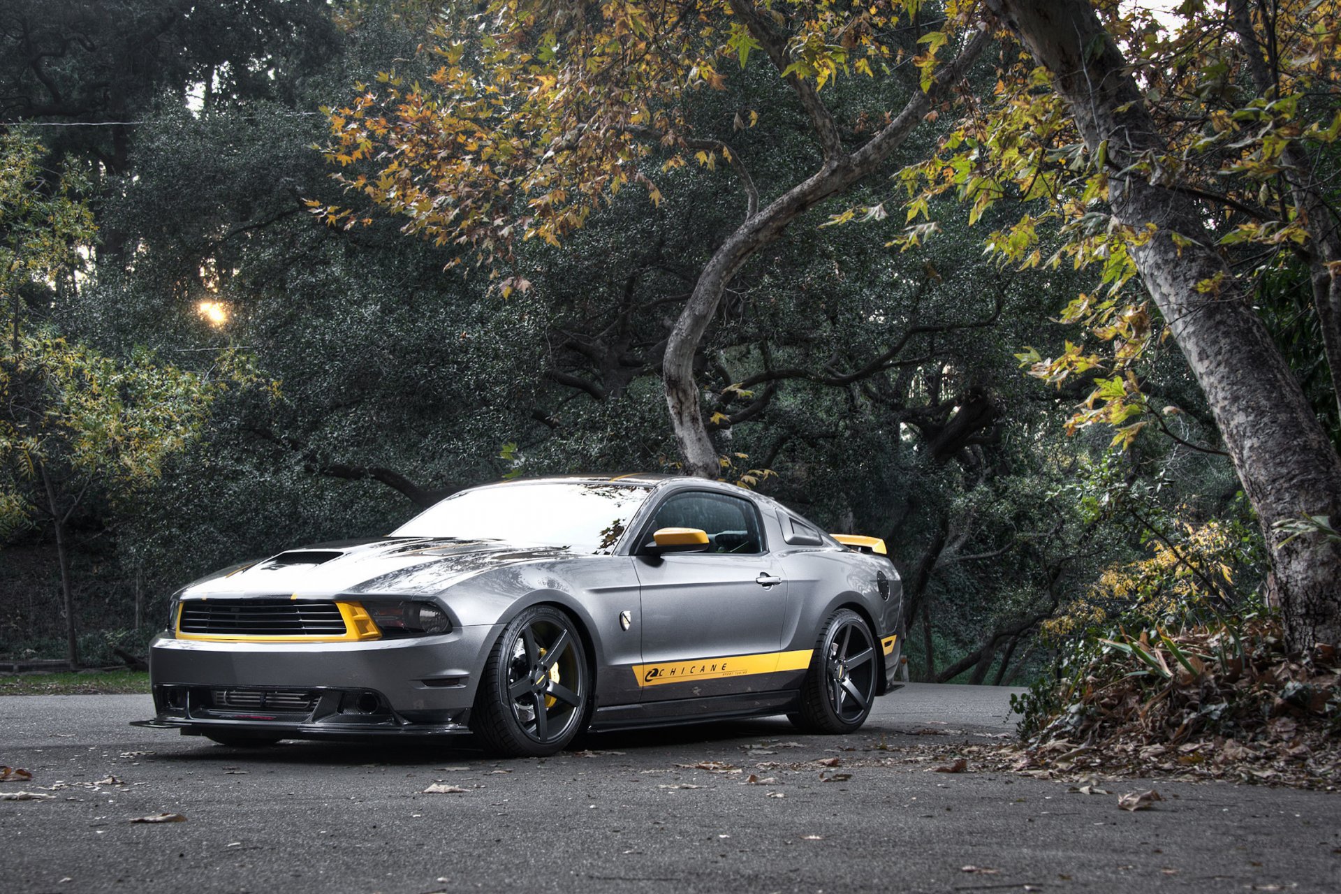 ford mustang gt plata plata muscle car frente árboles carretera bosque