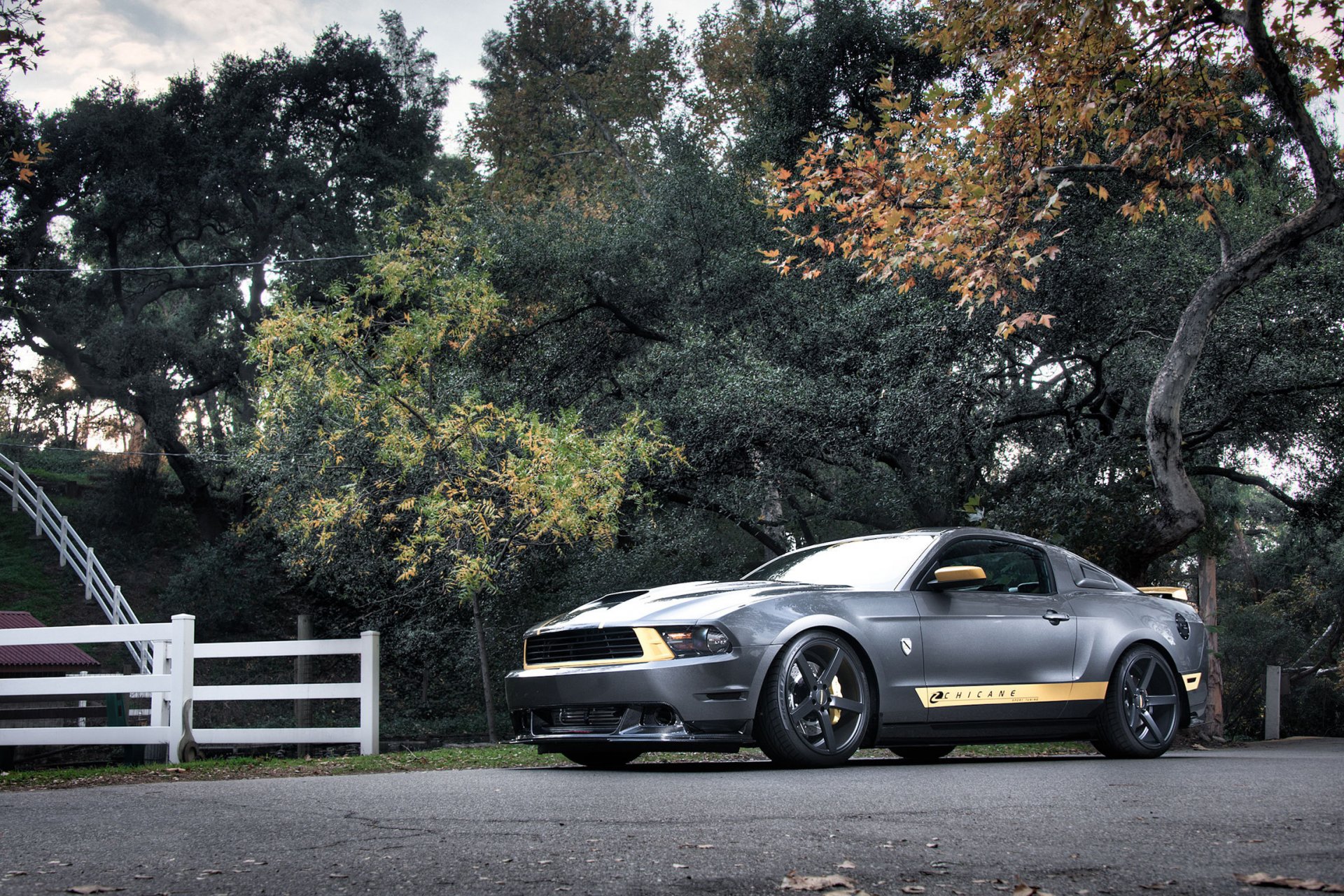 ford mustang gt argent argent muscle car avant arbres route clôture forêt