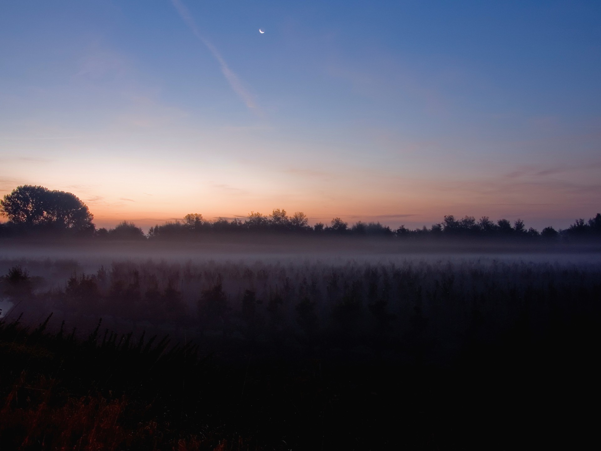 the field moon fog