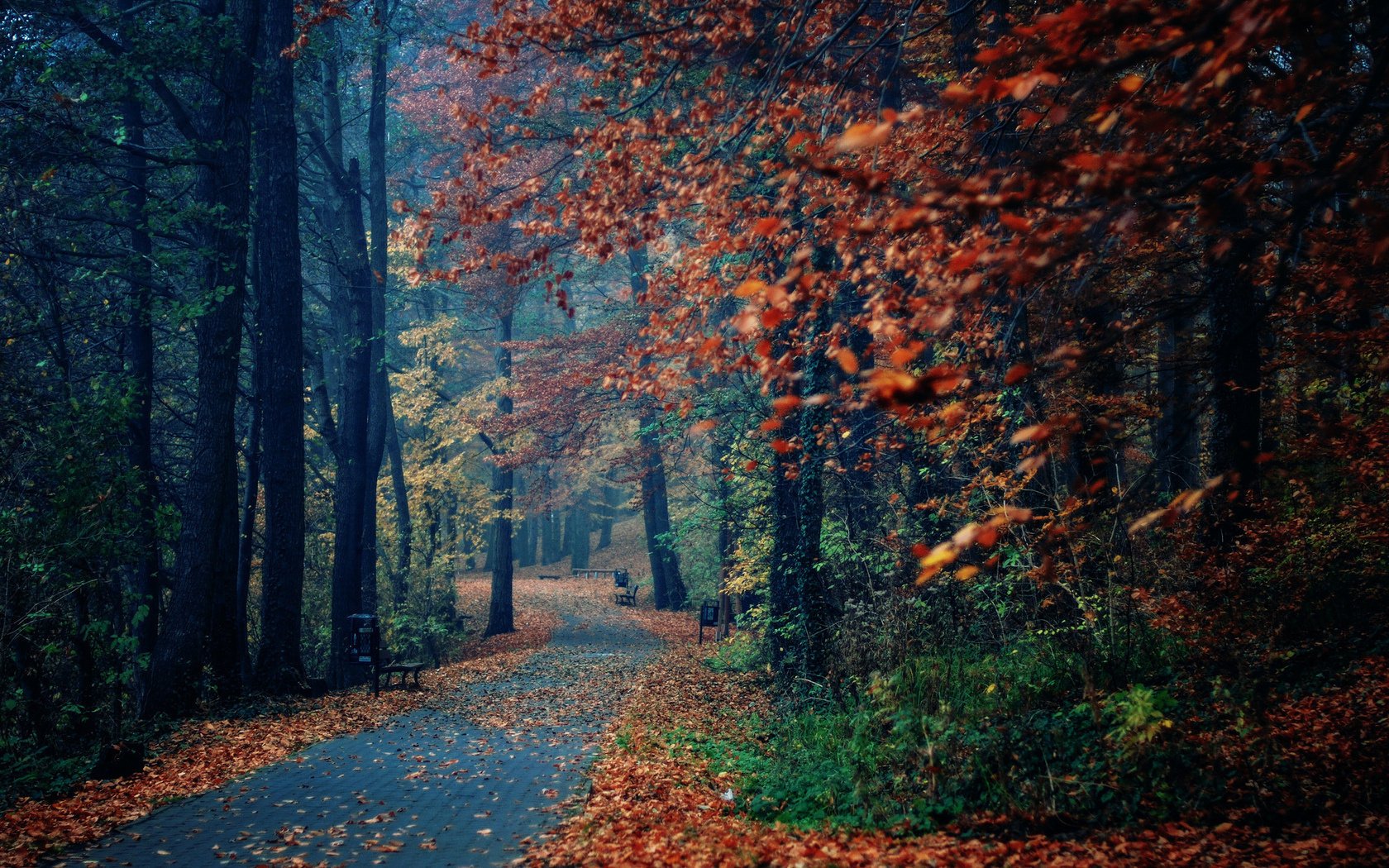 parco negozi natura alberi autunno