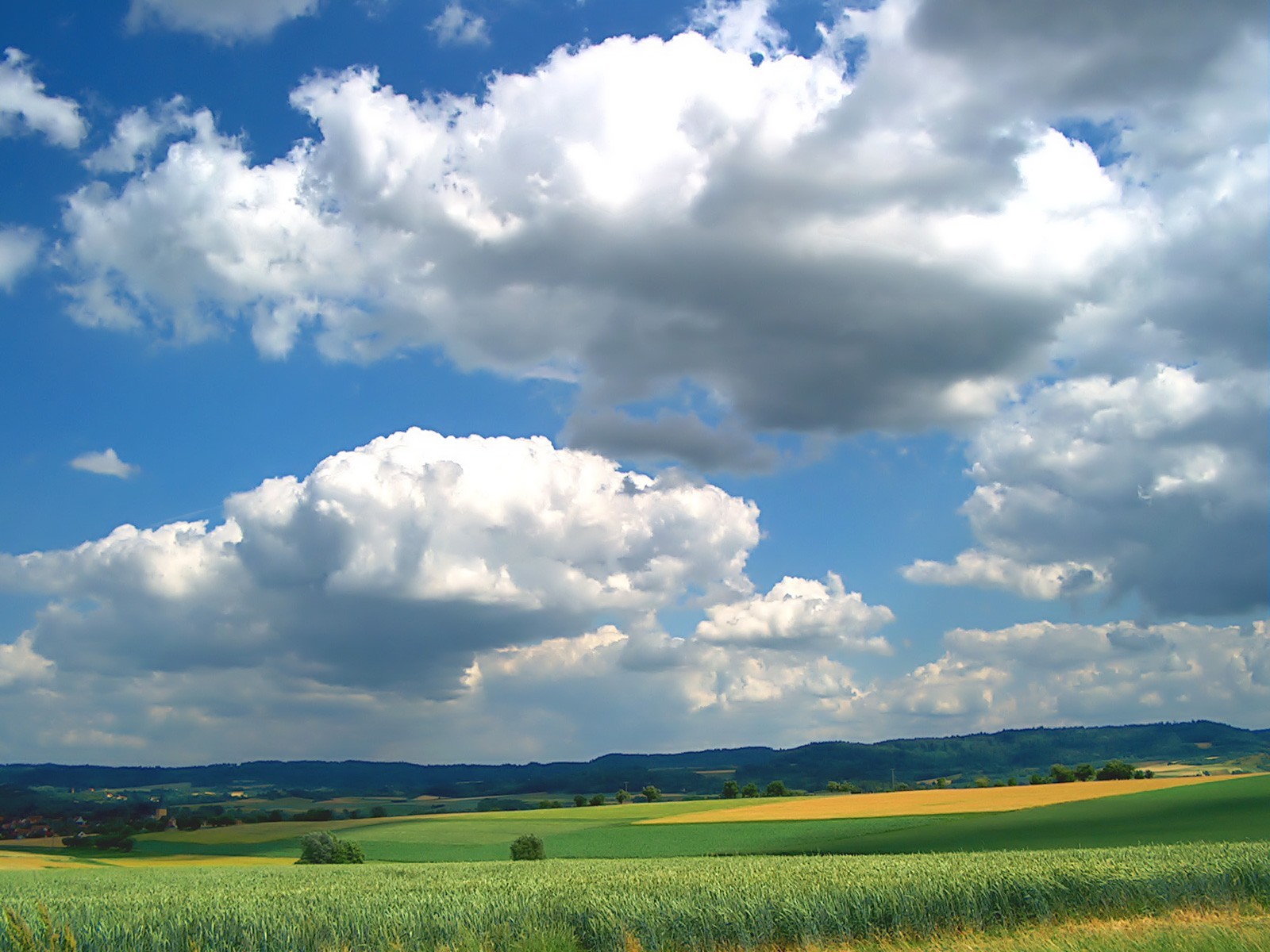 nuages champ verdure