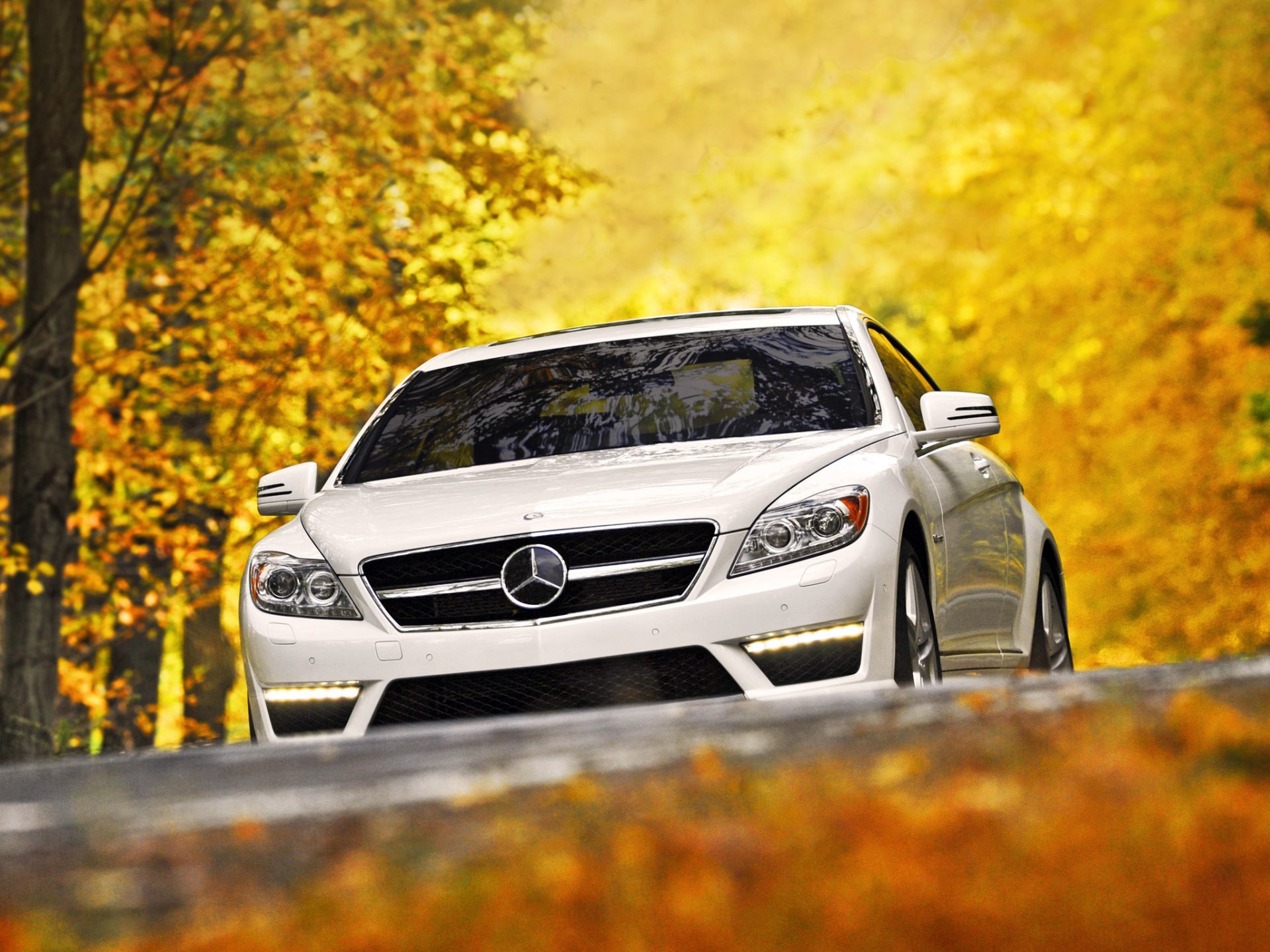 mercedes-benz cl63 amg mercedes cl63 amg bianco supercar anteriore autunno alberi foglie