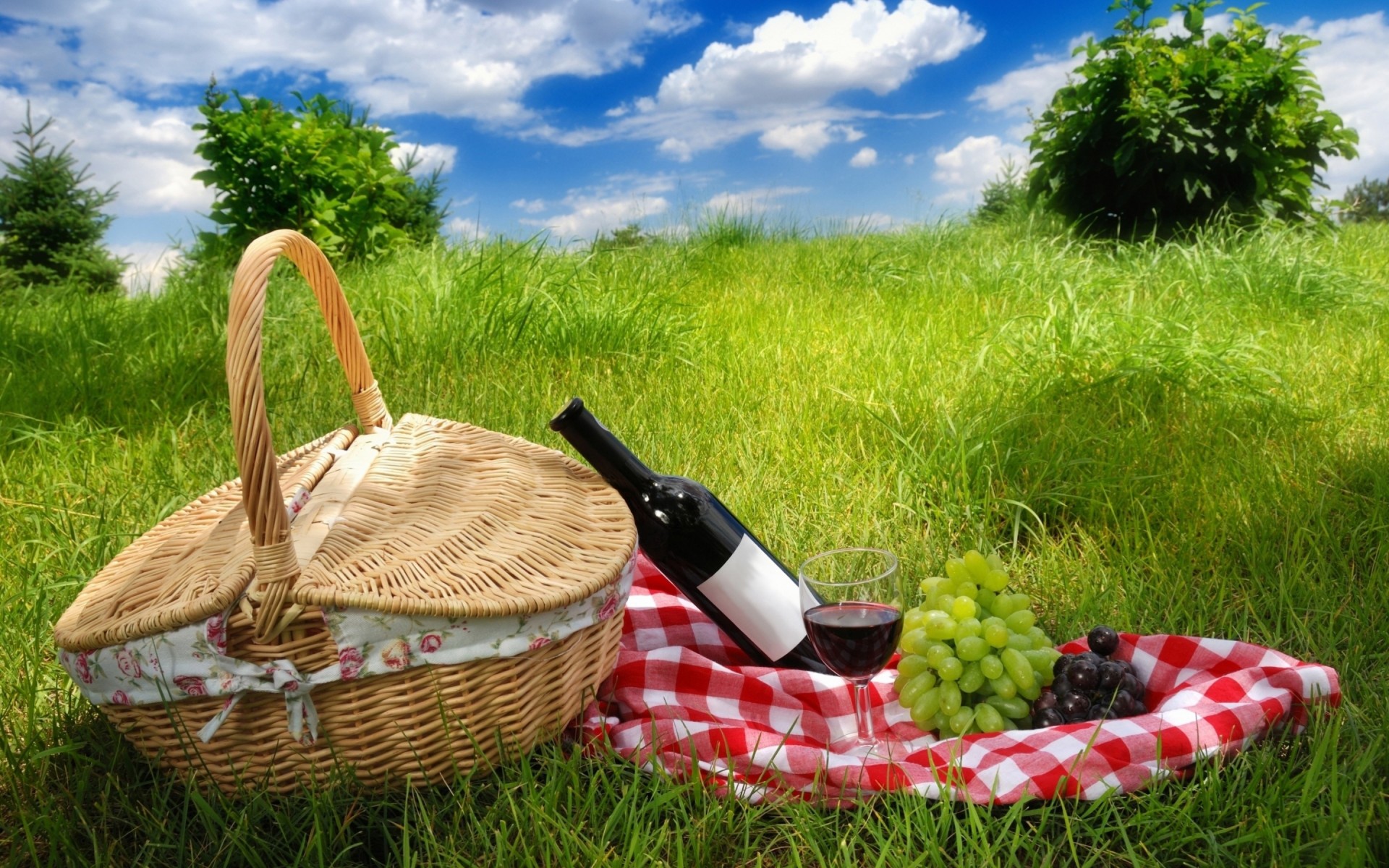 uva vino shopping picnic natura