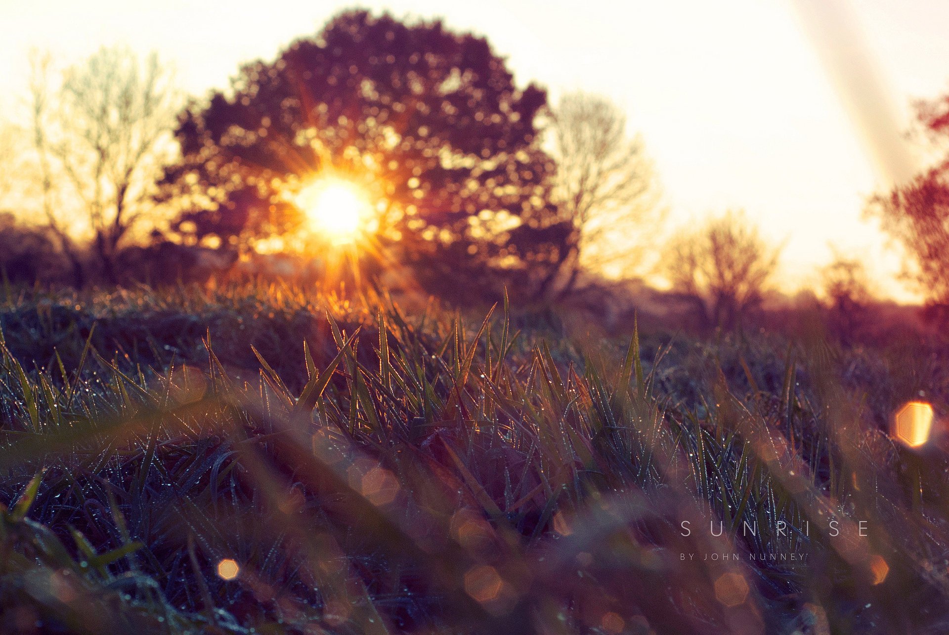 capi printemps herbe nature matin