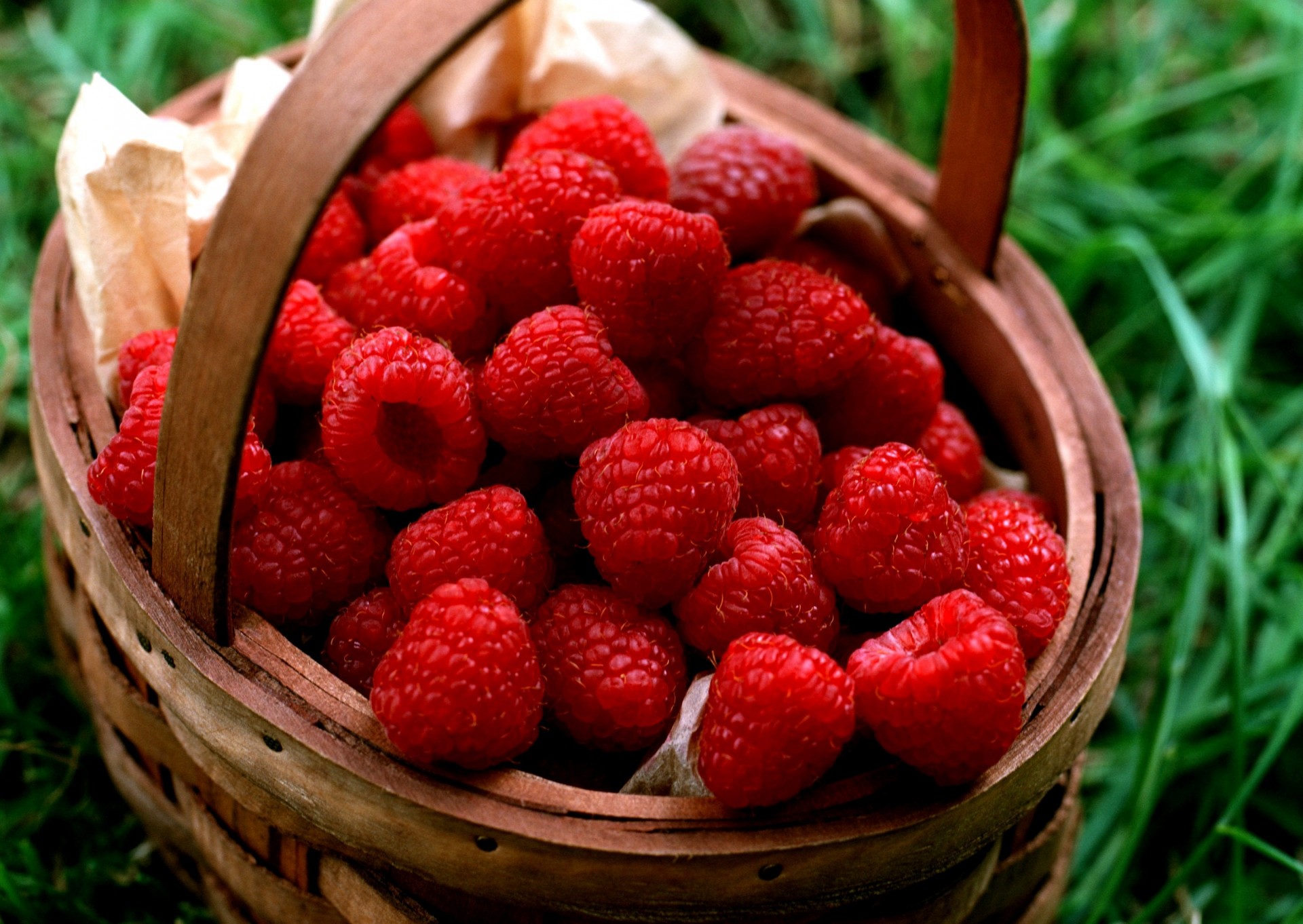 panier framboise baie