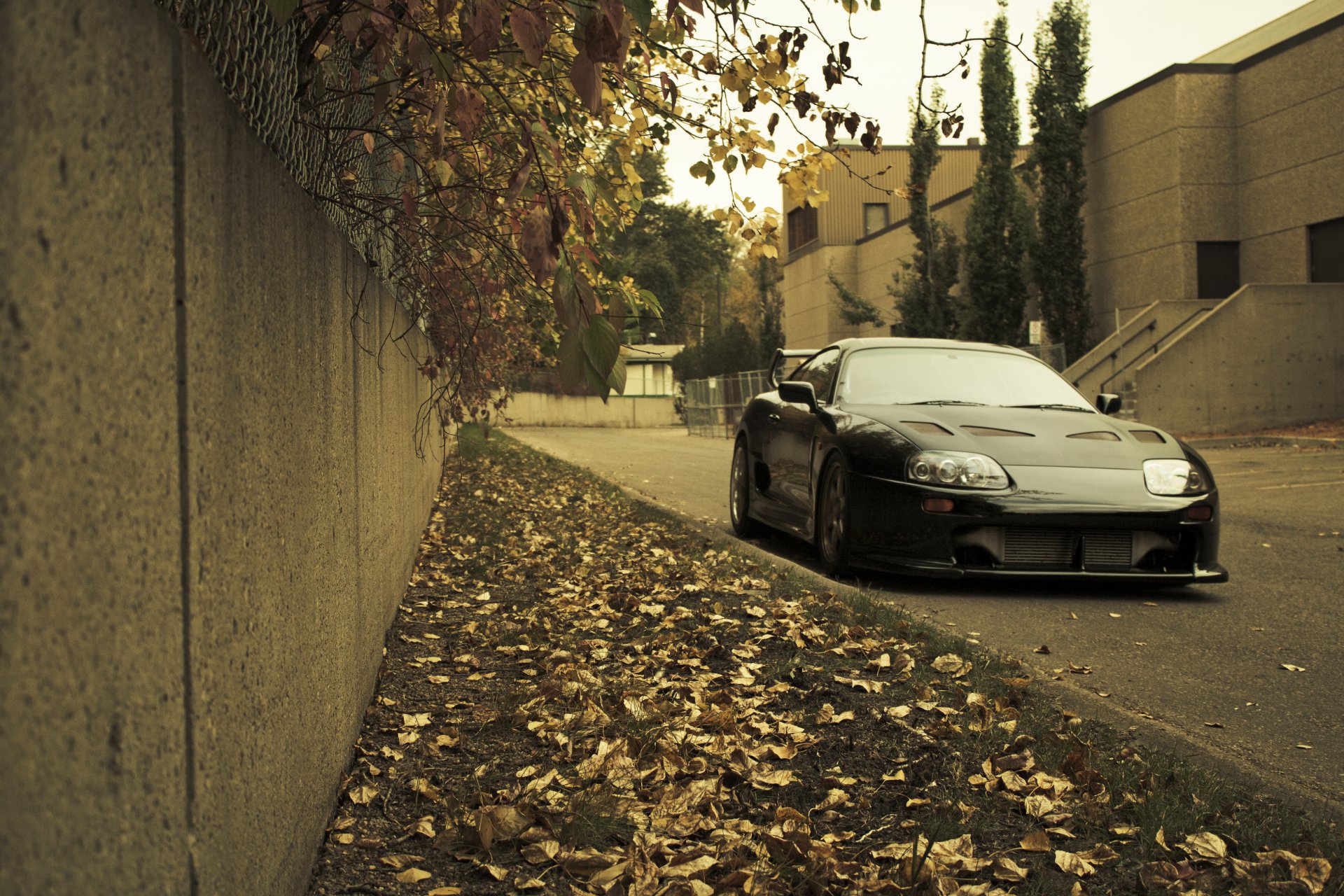 auto voitures toyota supra papier peint auto ville toyota mur pelouse herbe feuilles automne