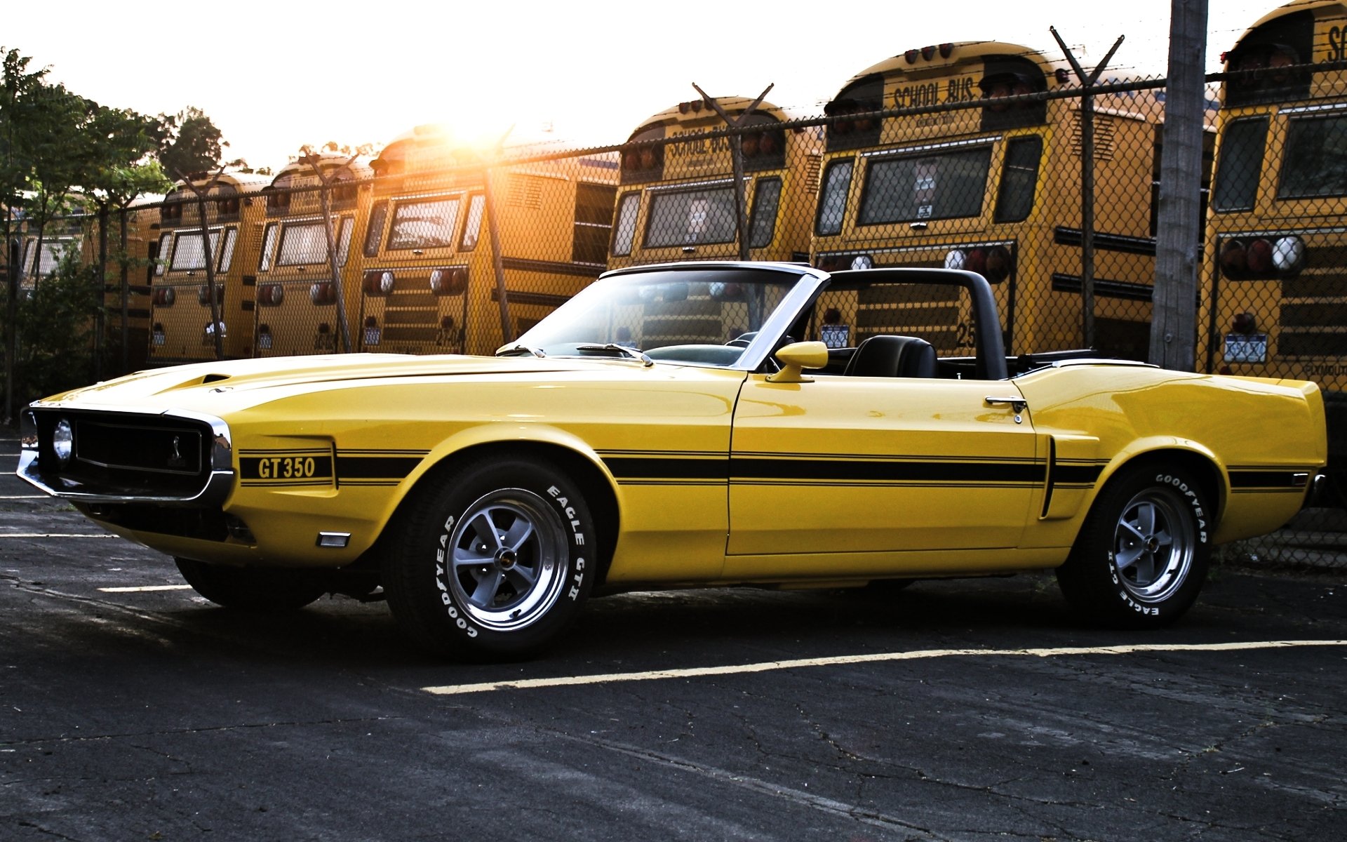 ford mustang shelby gt350 cabriolet 1969 jaune vue latérale voiture de muscle muscle car clôture bus ciel soleil