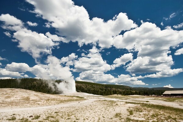 Geyser che lascia l acqua sullo sfondo della foresta