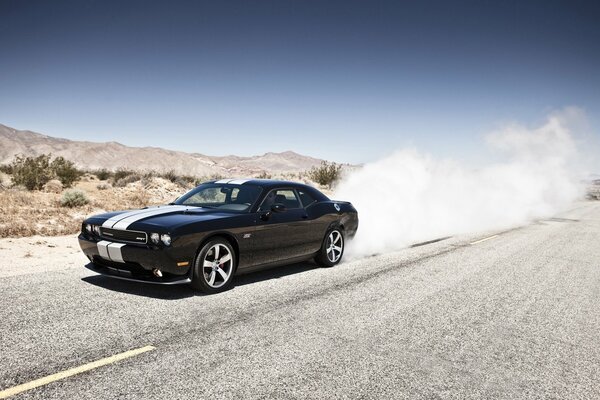 Czarny Dodge Challenger ze sportowymi białymi paskami