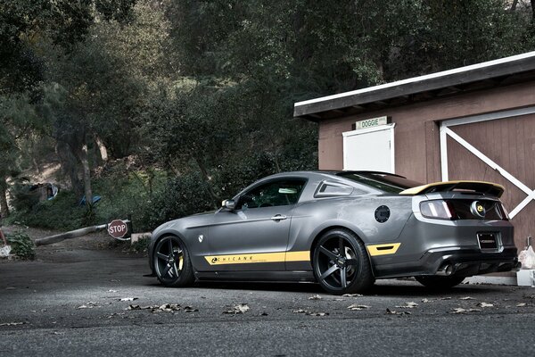 Foto von der Rückseite des Muscle Cara eines silbernen Mustangs