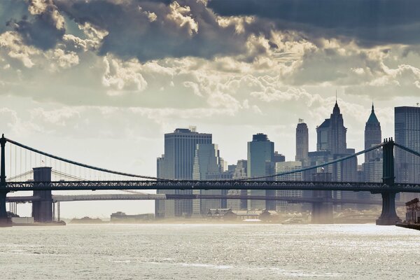 Bridges of New York with a view of the city