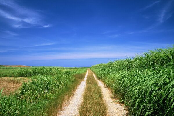 La strada che conduce al paradiso