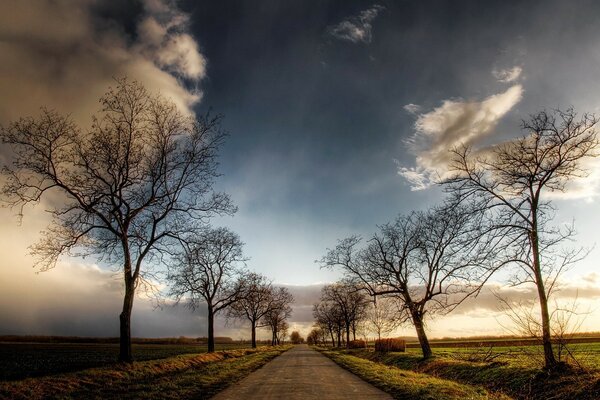 A beautiful evening in the village, the road of dreams