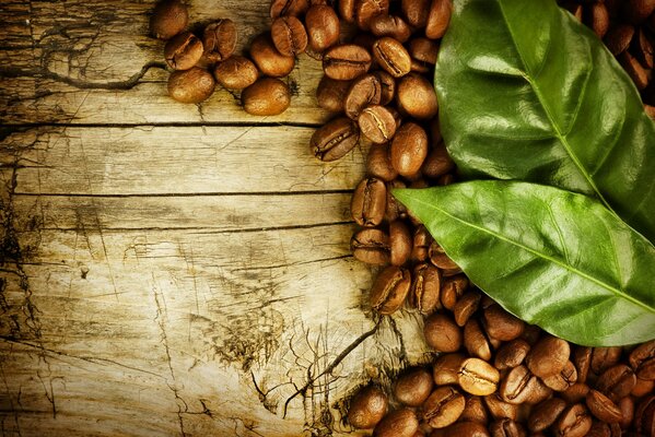 Coffee beans on a rough board