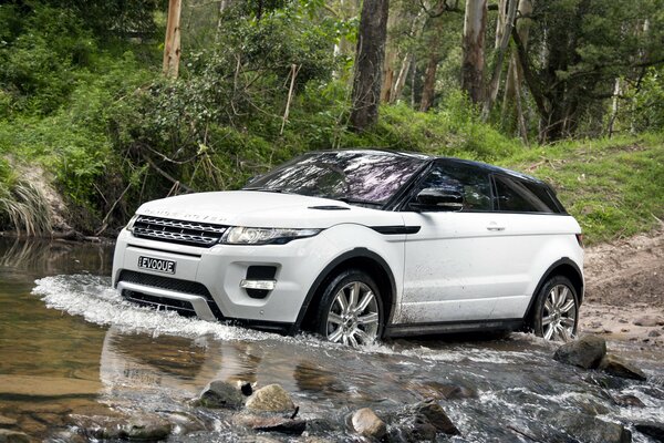 Land Rover al menos una ciudad al bosque