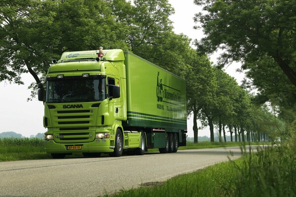 Зелёный грузовик scania среди зелёных деревьев