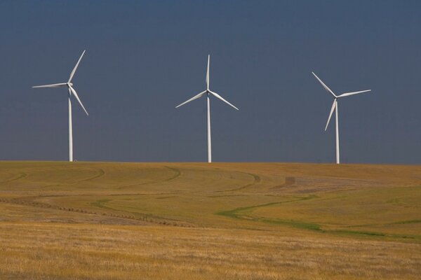 Three windmills in a wheat field