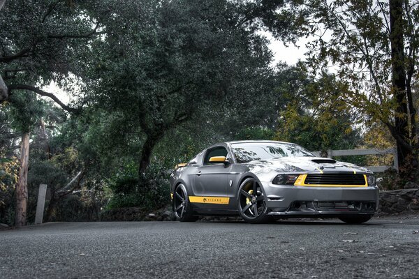 Mustang grigio JT con strisce gialle in piedi sulla strada