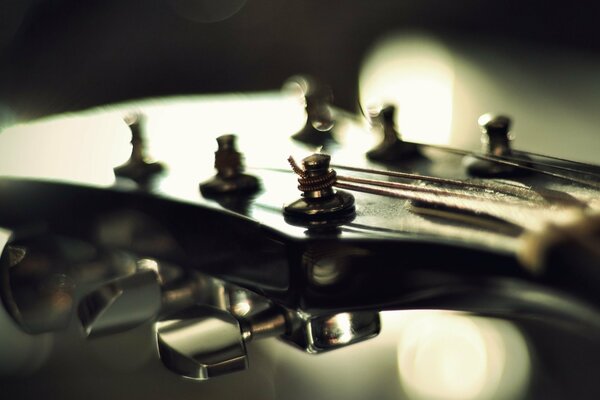 Cordes de guitare. Prise de vue macro