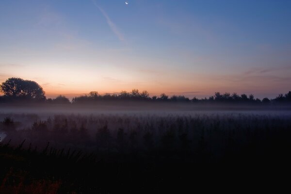 Morning fog falls on the field