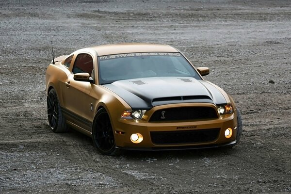Ford Mustang dorado en el rango