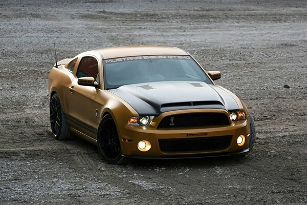 Ford Mustang d oro sulla gamma