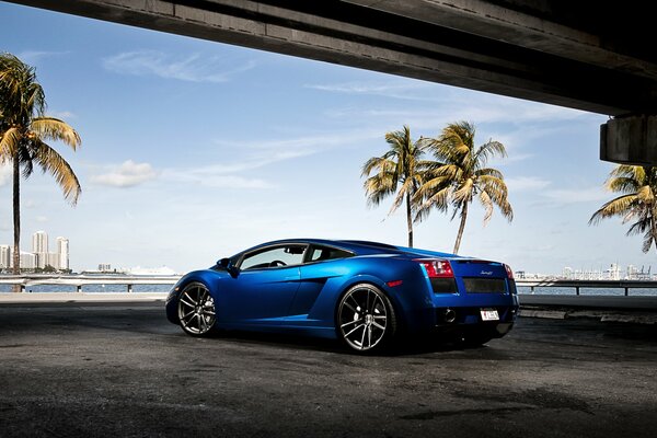 Niebieski Lamborghini Gallardo z tyłu na tle plaży