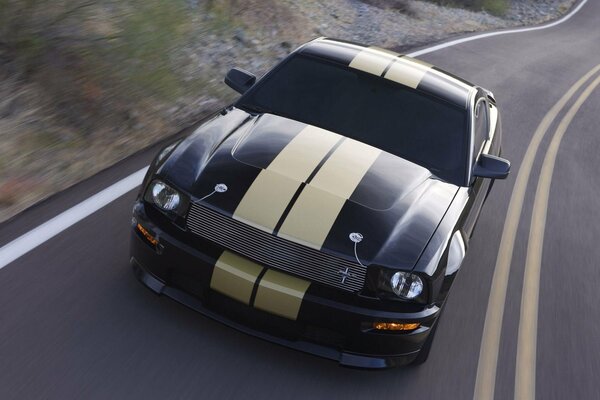 Mustang Shelby GT - power, beauty and speed on all roads