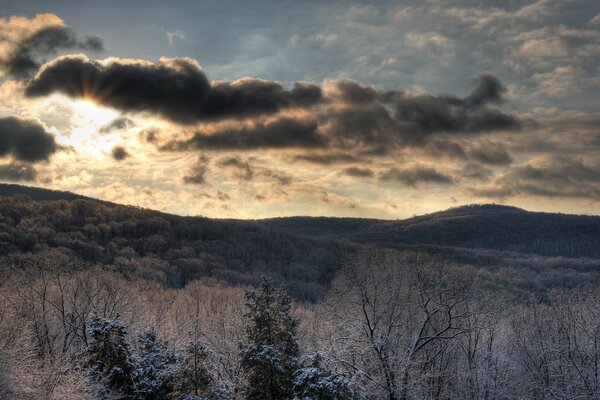 Forêt d hiver sombre sur la colline