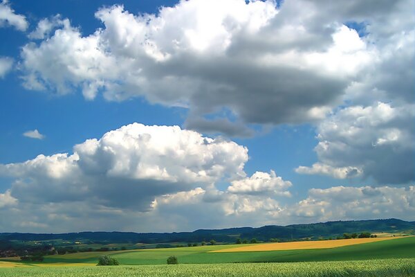 Wolken über dem Feld mit Grün und Ernte