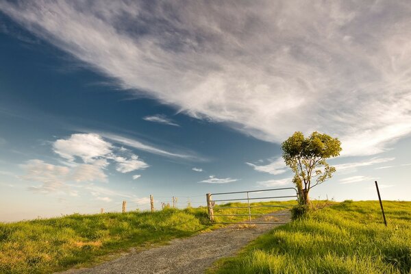 Zaun und Baum. Wolken und Feld