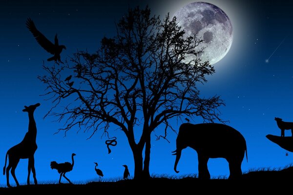 Los animales están de pie junto a un árbol por la noche