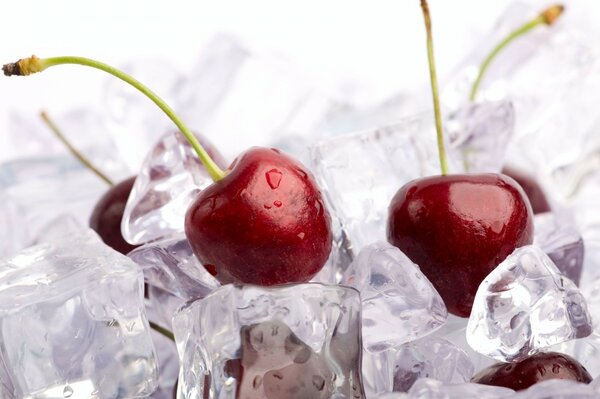 Cerezas maduras en un cubo de hielo transparente