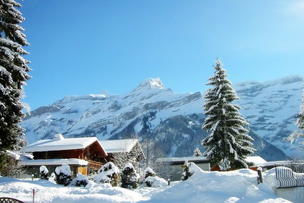 Paisaje de invierno de la casa y el árbol de Navidad