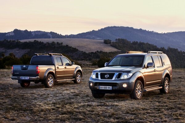 Nissan pathfinder Navara all alba