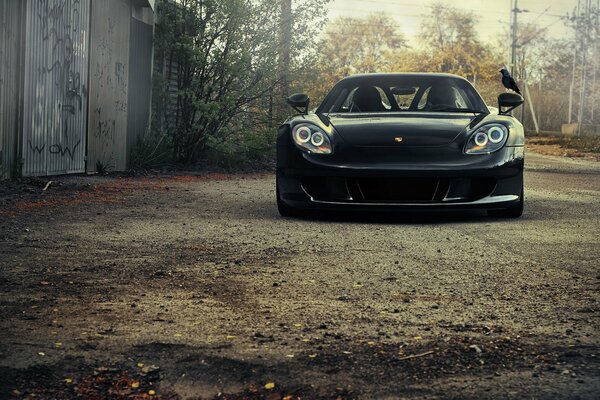 L oiseau noir sur la Porsche noire