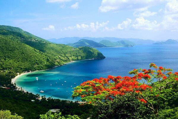 Beautiful sea and coast from a height