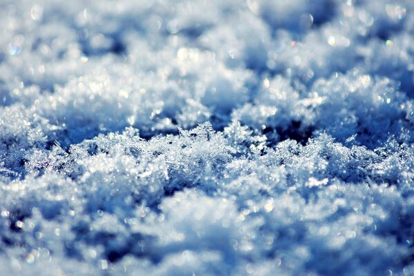 Flocons de neige au soleil. Prise de vue macro