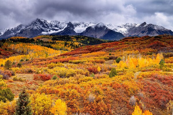 Peinture d automne doré dans les montagnes