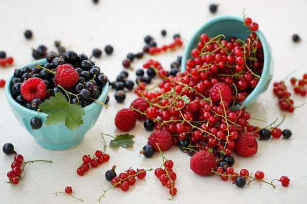 Raspberries and currants on a white background