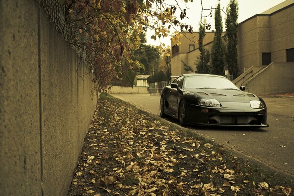 Autumn black Toyota Supra stands with leaves